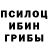 Галлюциногенные грибы Psilocybine cubensis Dan Nison