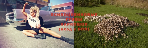шишки Абдулино